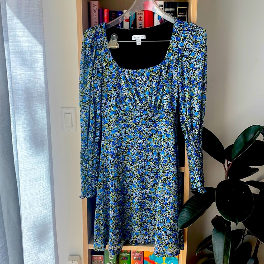 Topshop Dress